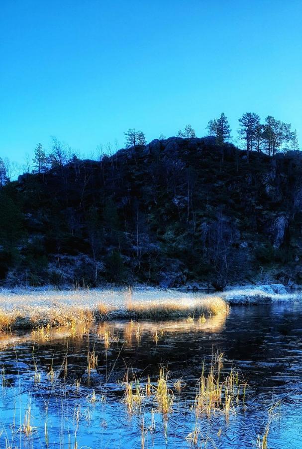 Appartamento Waerholmen Lavik  Esterno foto